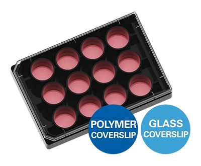 ibidi μ-Plate 12 Well共聚焦12孔培養(yǎng)板 81226 81221 81227